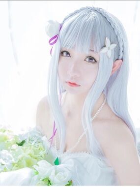 Emilia Re:Zero Cosplay Silver Wig Synthetic Hair Braid Anime